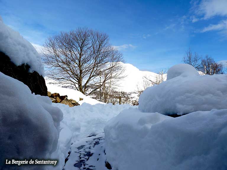 Bergerie-terrasse-hiver